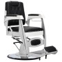 Frizerski stolac za frizerski salon s hidrauličkim podizanjem u barber shopu Adonis Barberking - 2